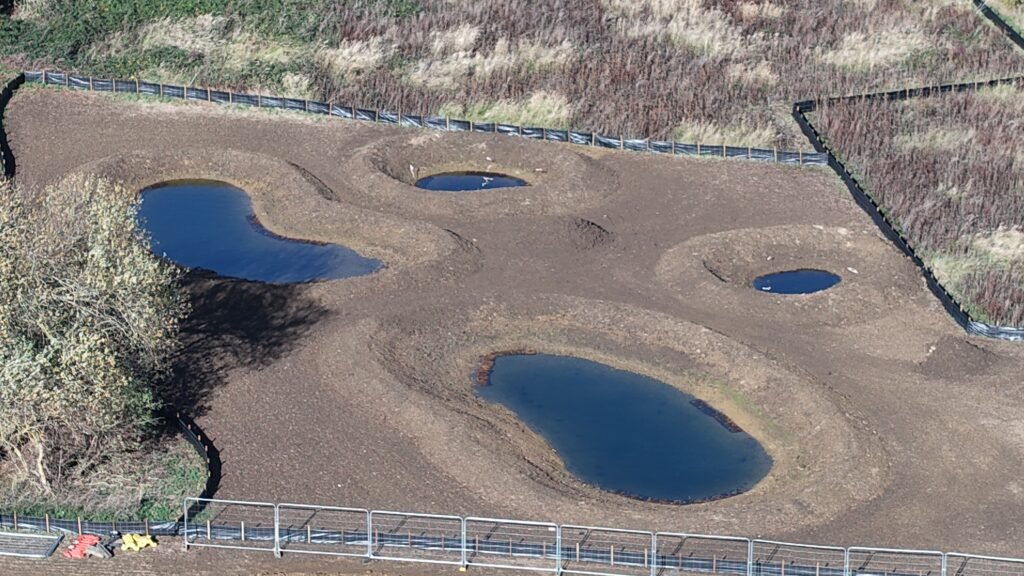 Lake Zone Ponds